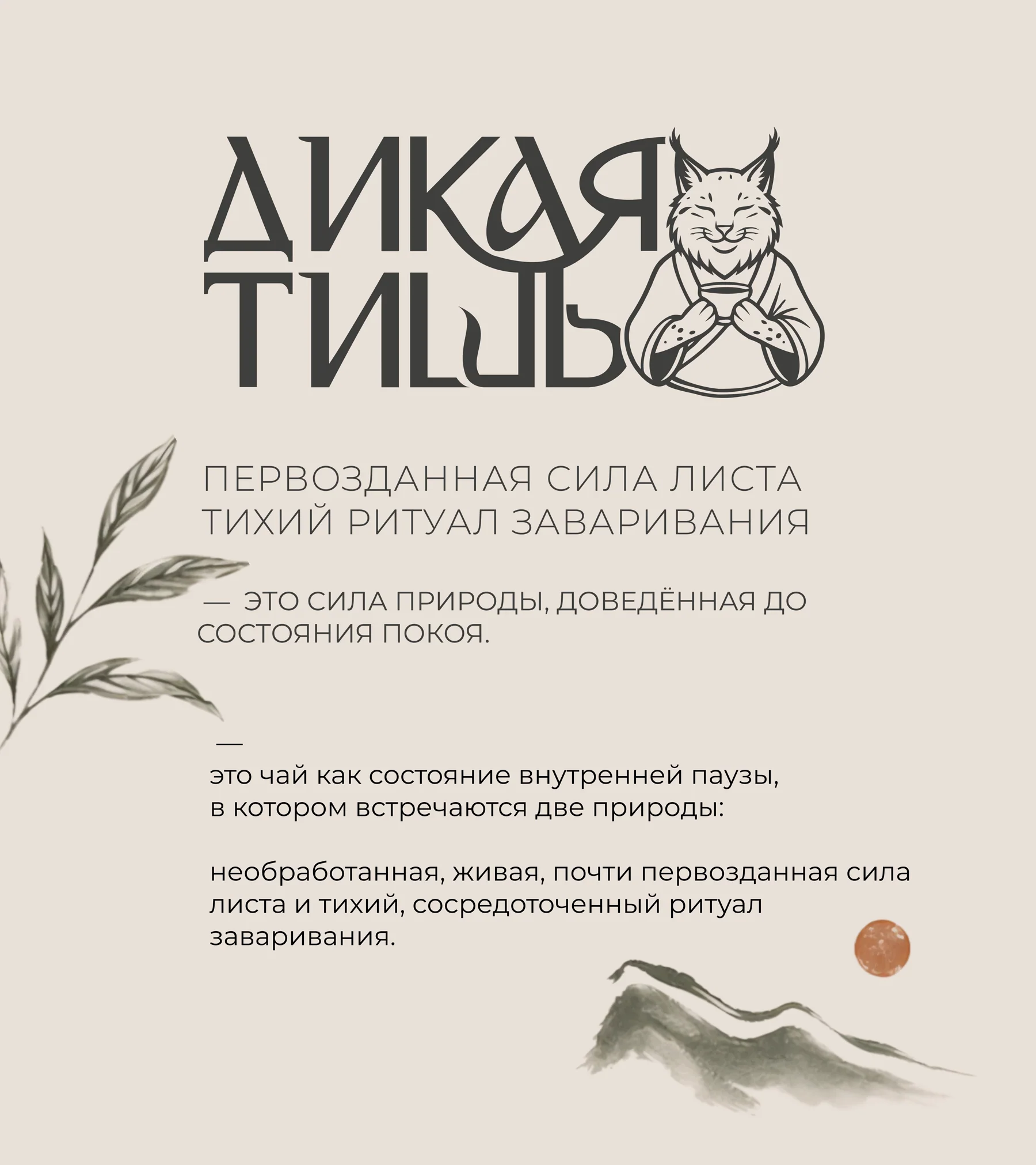 Концепция и смысловая платформа бренда «Дикая тишь»